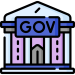 government government
